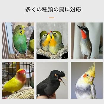 y*o様 中型鳥かご ホワイト 金属製　バードゲージ　中型インコ大型インコ　オウ 鳥かご HOEI 465オカメステンレス ホワイト (46.5×46.5×58cm